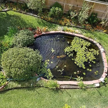 The Seahorse Apt - Lakeside And Close To The Beach Apartment Galveston Bagian luar foto