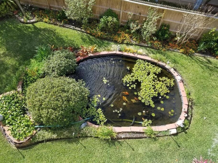 The Seahorse Apt - Lakeside And Close To The Beach Apartment Galveston Bagian luar foto